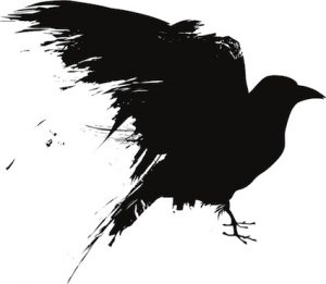 Black crow silhouette 